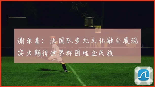 谢尔基：法国队多元文化融合展现实力期待世界杯团结全民族