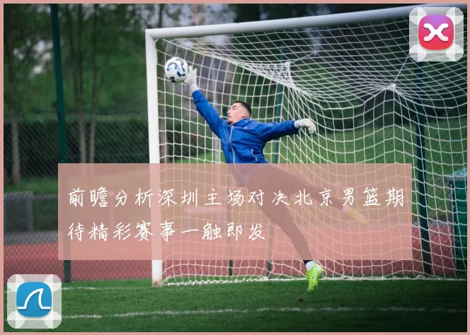 前瞻分析深圳主场对决北京男篮期待精彩赛事一触即发