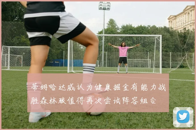 蒂姆哈达威认为健康掘金有能力战胜森林狼值得再次尝试阵容组合